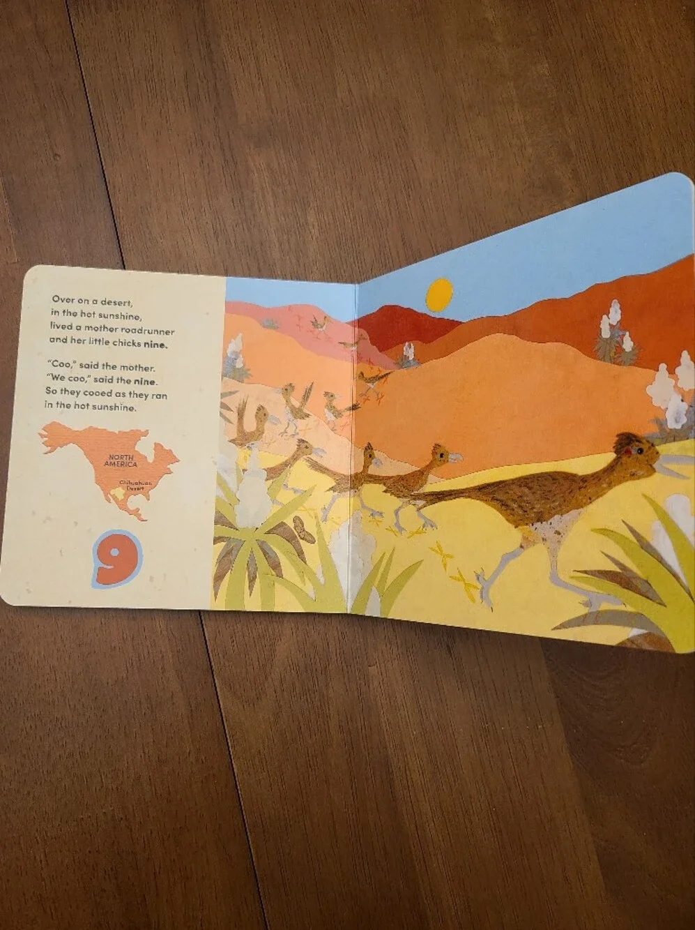 Over on a Desert Children's Board Book - Marianne Berkes Like New